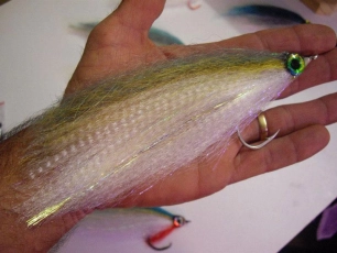 Large saltwater fly Large saltwater fly