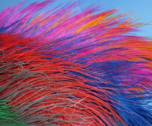 Ostrich feathers Ostrich feathers