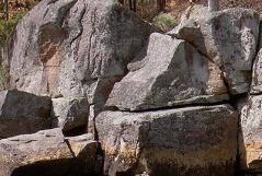 Fishing in New York Gallery Fishing in New York Gallery