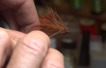 Step 25 - varnish Step 25 - varnish