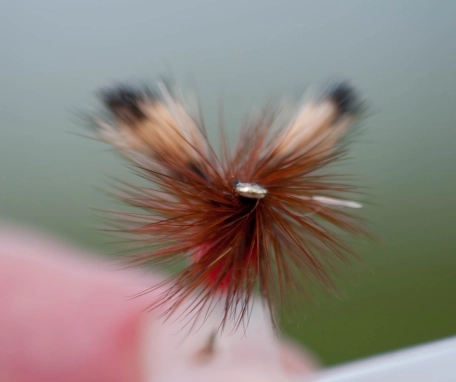 A bushy dry fly A bushy dry fly