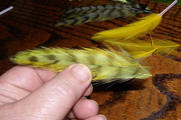 Start by matching up a wing using the pre-sorted hackle. Start by matching up a wing using the pre-sorted hackle.