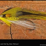 #154 Bruins - Alan Petrucci #154 Bruins - Alan Petrucci