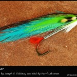 #20 Supervisor - Harri Lehtonen #20 Supervisor - Harri Lehtonen