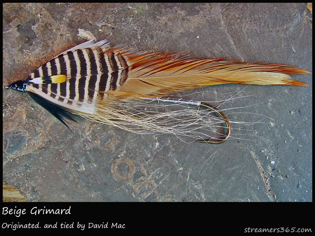 #27 Beige Grimard - David Mac