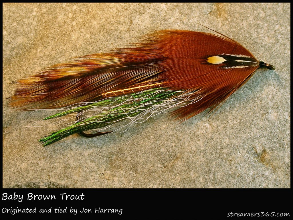 #54 Baby Brown Trout - Jon Harrang