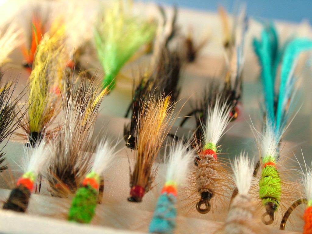 Flies from http://nsflyfishing.com/ Flies from http://nsflyfishing.com/