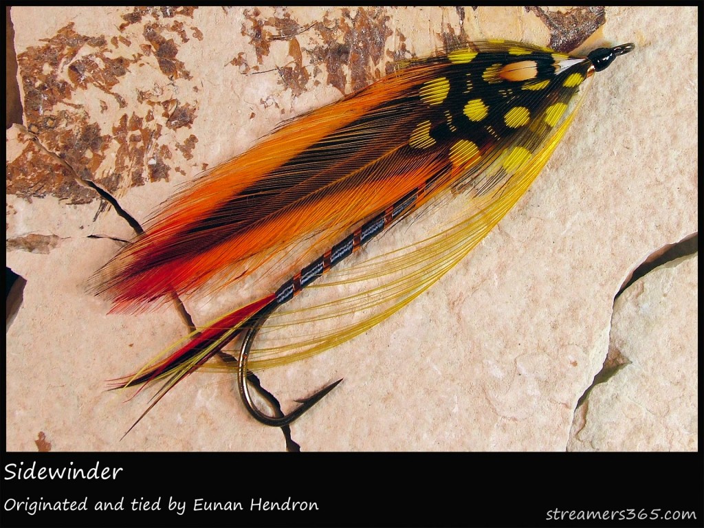 #141 Sidewinder - Eunan Hendron #141 Sidewinder - Eunan Hendron