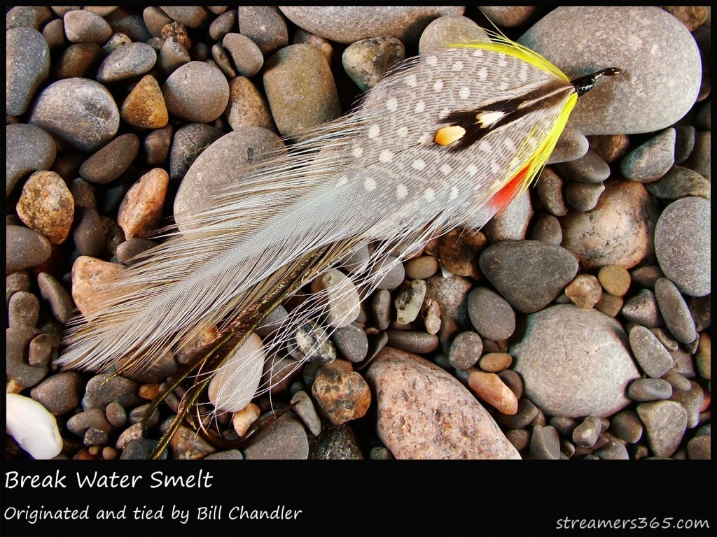 #153 Break Water Smelt - Bill Chandler #153 Break Water Smelt - Bill Chandler