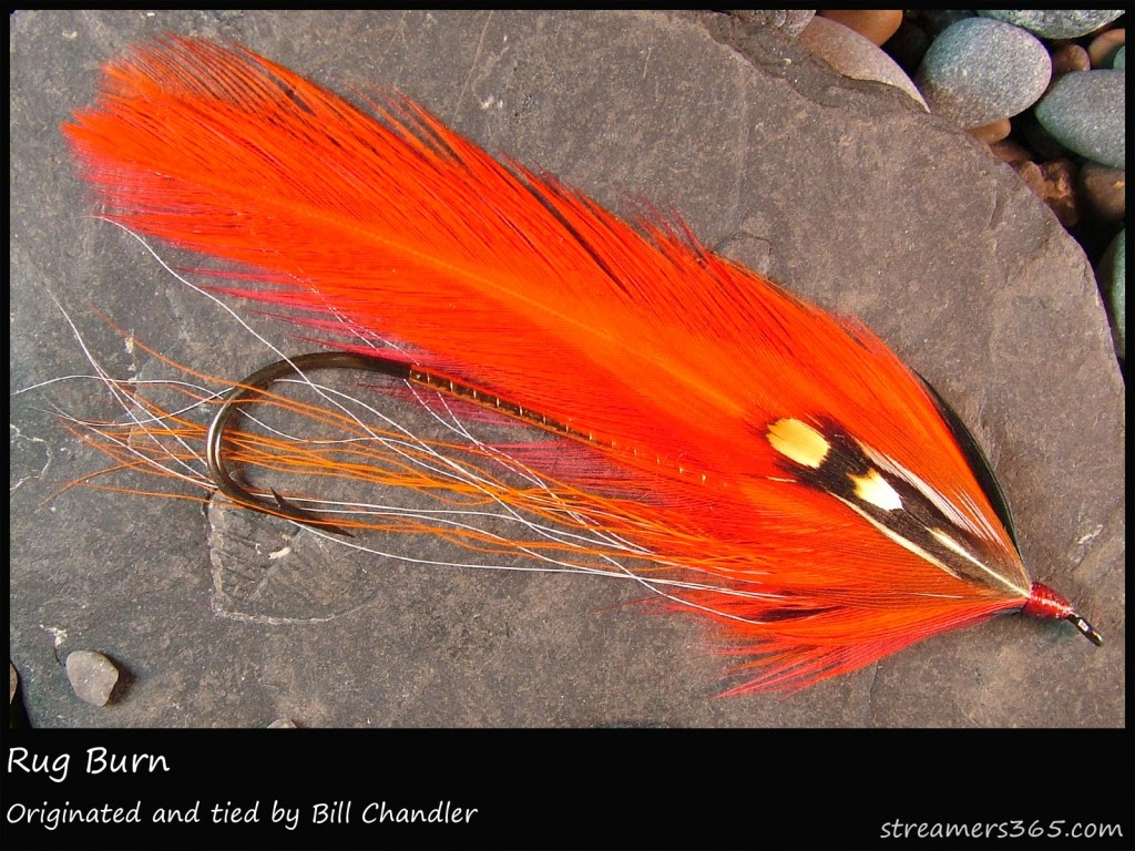 #218 Rug Burn - Bill Chandler #218 Rug Burn - Bill Chandler