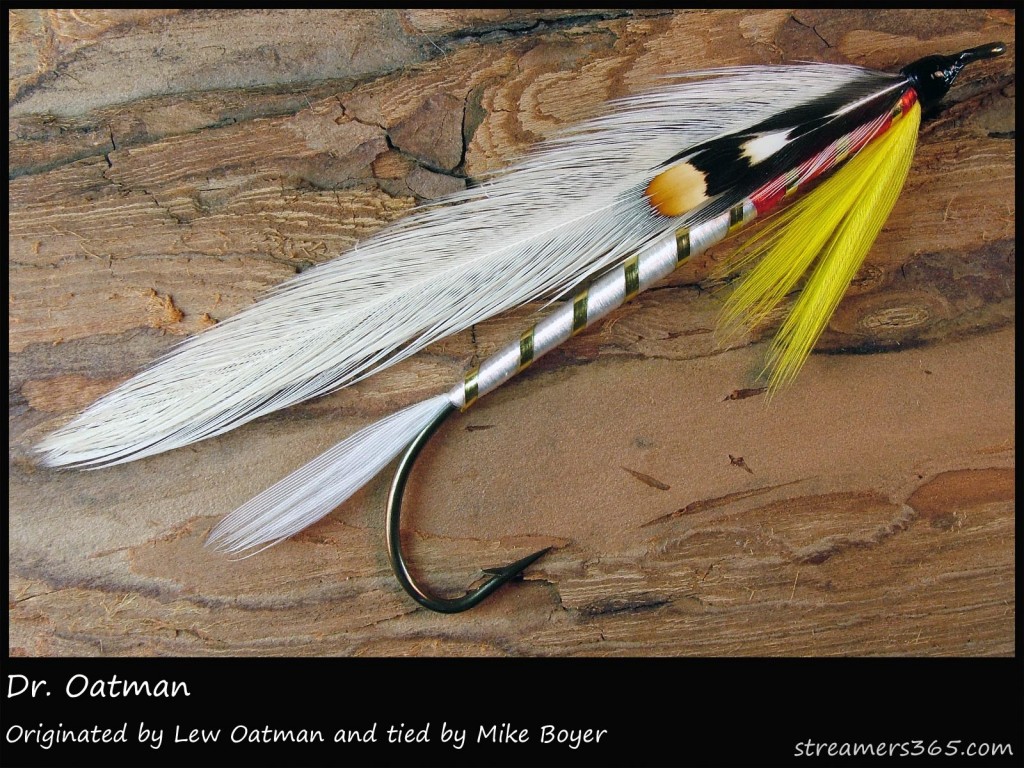 #219 Dr. Oatman - Mike Boyer