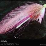 #247 Senator Kilkelly - Charlie Mann #247 Senator Kilkelly - Charlie Mann