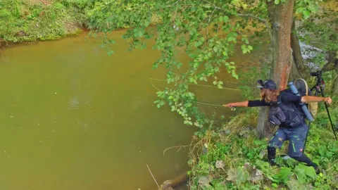 Video thumb for Stepping Outside The Comfort Zone