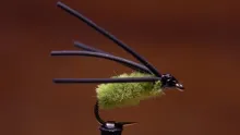 Video thumb for Bully Bluegill Spider