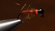 Video thumb for October Caddis Euro Nymph