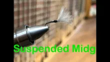 Video thumb for Suspended Midge Fly