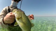 Video thumb for Fly Fish the Mitt FFM 2012 Review - First Six Months