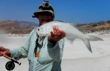 Video thumb for Salmon Fishing in Yemen