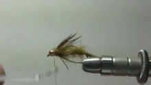 Video thumb for In The Round Stonefly