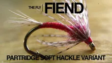 Video thumb for Partridge Soft Hackle Variant