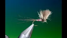 Video thumb for CDC Mayfly Dun
