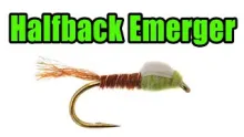 Video thumb for Lawson's Halfback Emerger