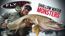 Video thumb for Shallow Water Monsters