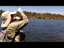 Video thumb for BIGCARPBIGCARP