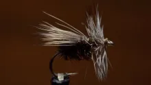 Video thumb for Peacock Caddis