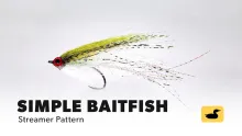 Video thumb for Simple Baitfish