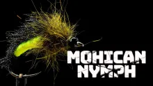 Video thumb for Mohican Nymph