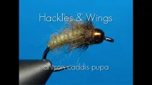 Video thumb for Antron Caddis Pupa