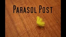 Video thumb for Parasol Post Technique