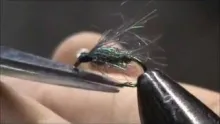 Video thumb for Tying a GSS Emerger 