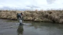 Video thumb for Flyfishing a spring creek