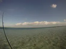Video thumb for Bonefish POV