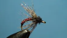 Video thumb for Autumn Caddis Emerger