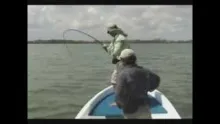 Video thumb for Big Tarpon on fly