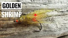 Video thumb for Golden Shrimp