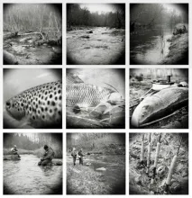 User submitted picture: Flyfishing with Holga cam...