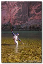 User submitted picture: Landing a rainbow trout i...