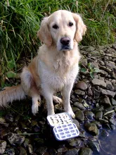 User submitted picture: best friend