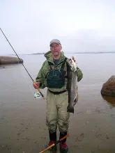 User submitted picture: Swedish Seatrout