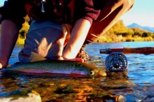 User submitted picture: oreti rainbow 