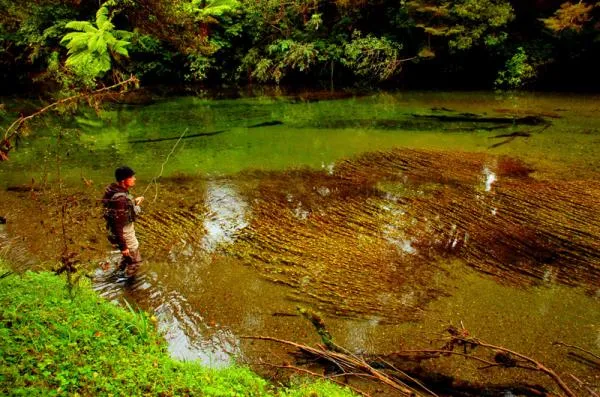 User submitted picture: tacking position