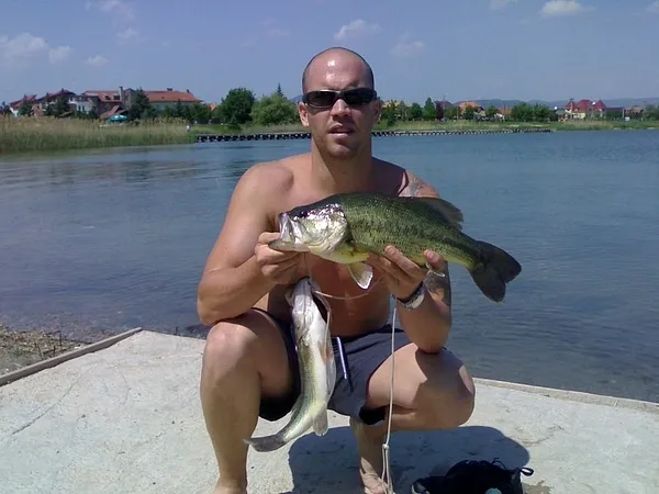 User submitted picture: omszki to hungary