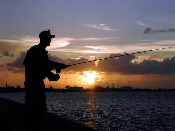 User submitted picture: Chasing barracuda at sunr...