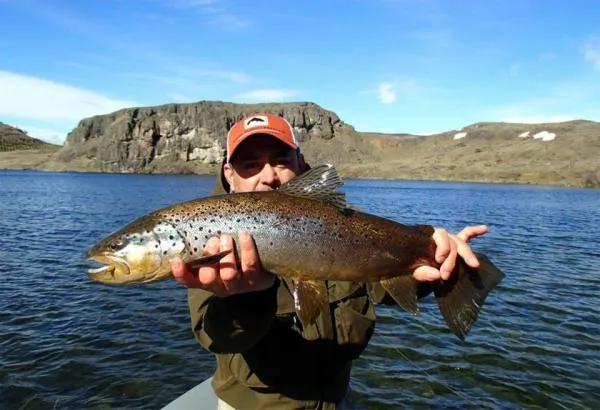 User submitted picture: www.lavaguada.cl: Brown T...